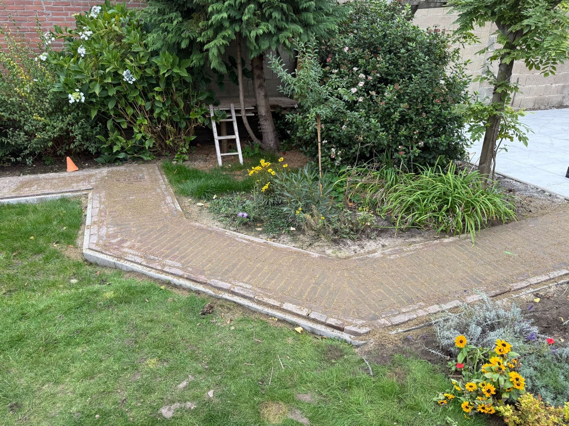 Nieuw gelegd klinkerpad met nette randafwerking, slingerend door een groene tuin